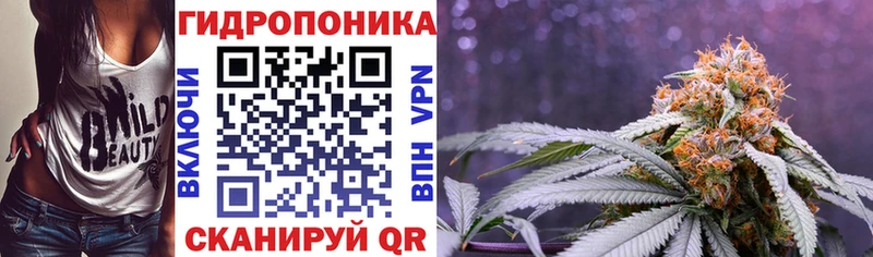 закладка  Каменск-Шахтинский  Бошки марихуана индика 